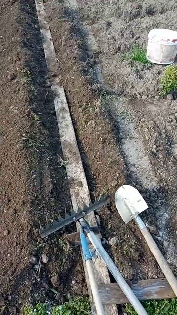 мой опыт посадки картофеля смотреть онлайн