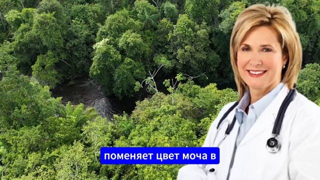 Нанесите ЭТО масло на ваши НОГИ, и ВЫ УДИВИТЕСЬ резуль?