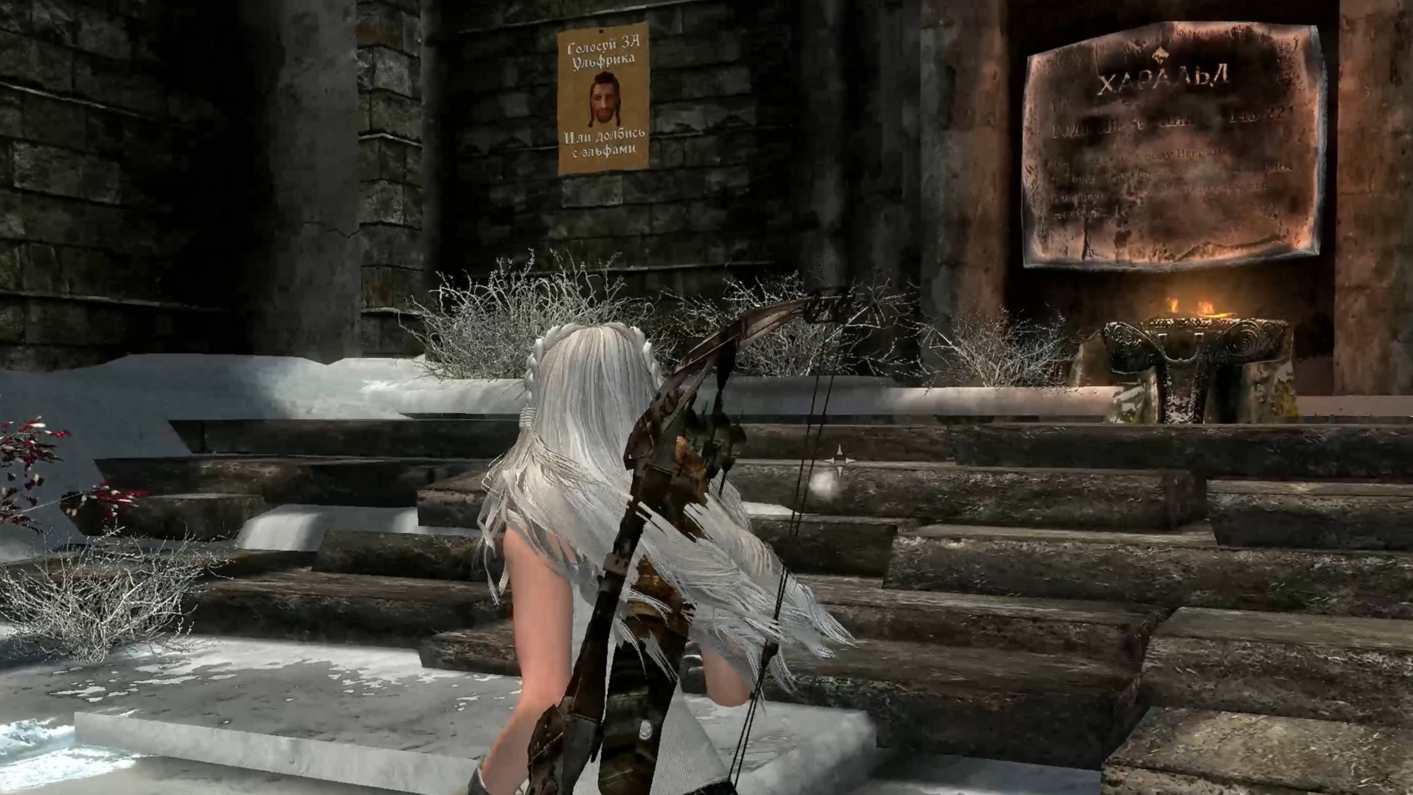 Skyrim, необычные моды