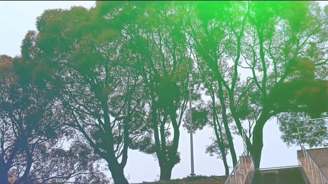 В ГОРОДЕ ДОБРЫХ СОСЕДЕЙ.