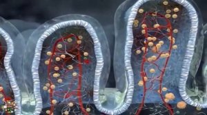 Семена тмина: Польза для здоровья или скрытая опаснос?