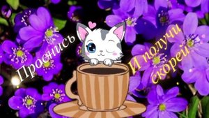 Доброе Утро ☀️ Хорошего Дня И Отличного Настроения #д