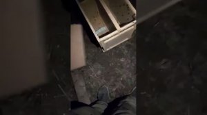 ночная пересадка пчелосемей часть 2