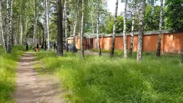 Выездной квест Зарница - 03