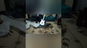 распаковка гитары.mp4