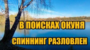 В поисках весеннего окуня. Разловил новый спиннинг.