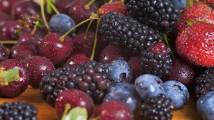 Как Вырастить Шелковицу в Домашних Условиях 🌿