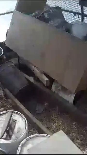 Куры в теплице смотреть онлайн