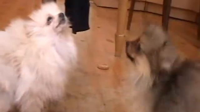 Темный смотреть онлайн