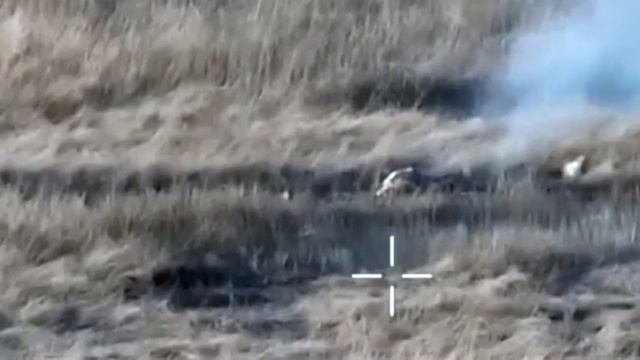 Еще один хедшот  сбросом ВОГа