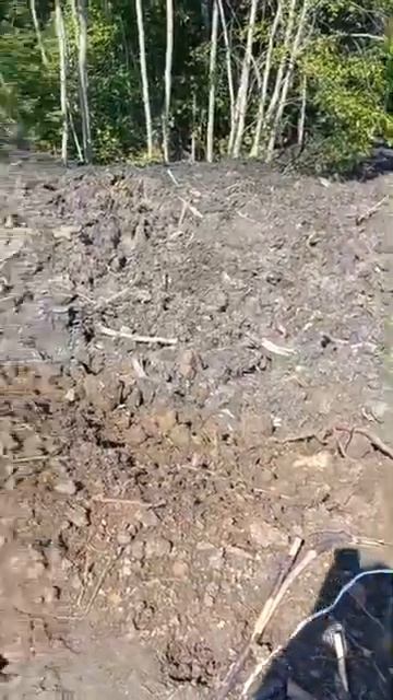 Очистка деревенского пруда в Шальчакасах. смотреть онлайн