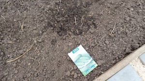 Где что посадила (томаты/перцы). Видео-напоминалка для себя ☺️.