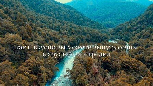 6 фруктов,которые пожилые люди старше 65 лет должны ест?