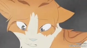 Коты воители анимация