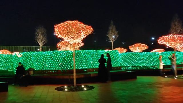 Vlog 5/25. Зимняя сказка❤️/ Парк Галицкого во всей Новогодней красе🎄🎉/ Mariya VD LIFE. смотреть онлайн