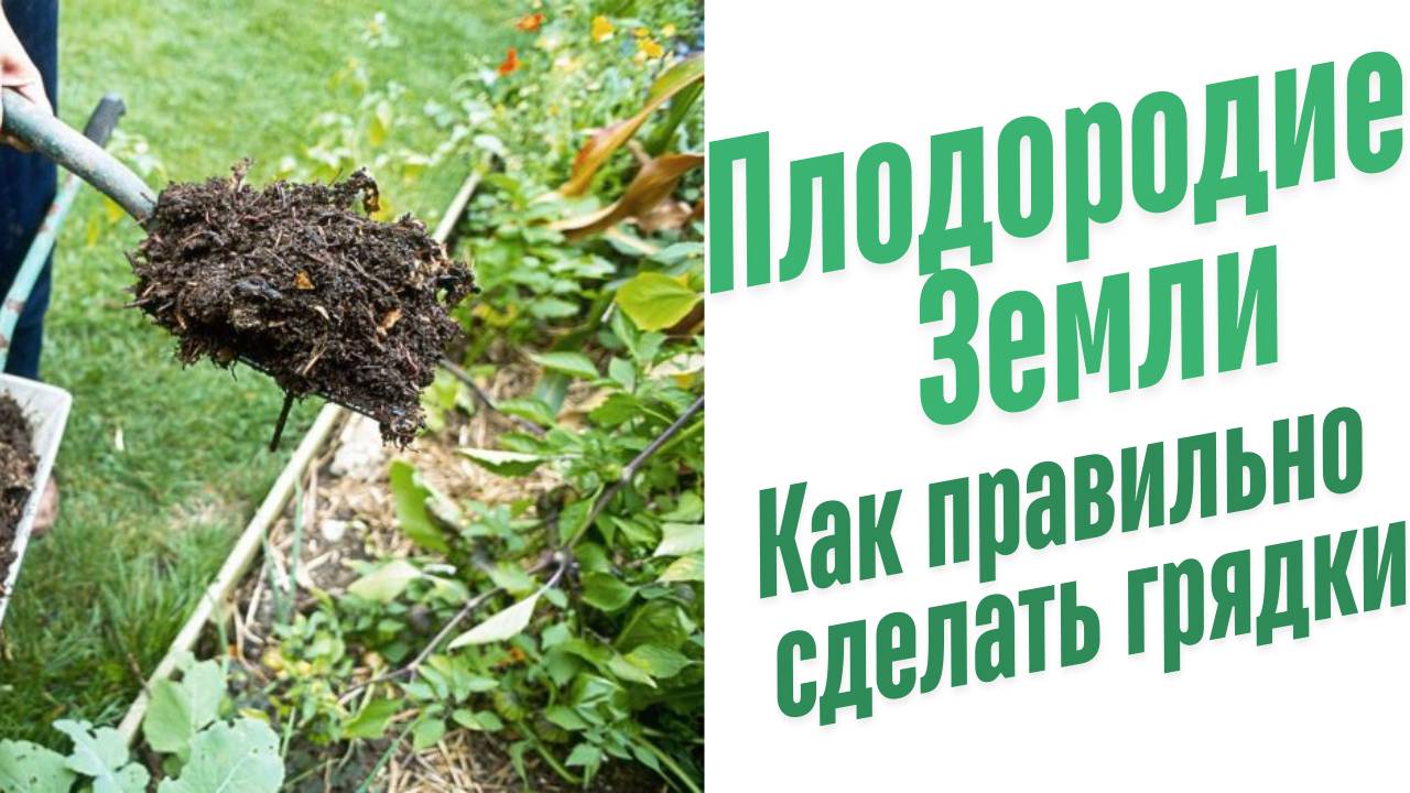 Как правильно сделать грядки.