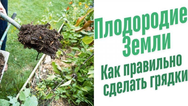 Как правильно сделать грядки.
