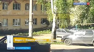 Неудачная попытка вторжения лося в уфимскую квартиру попала на видео