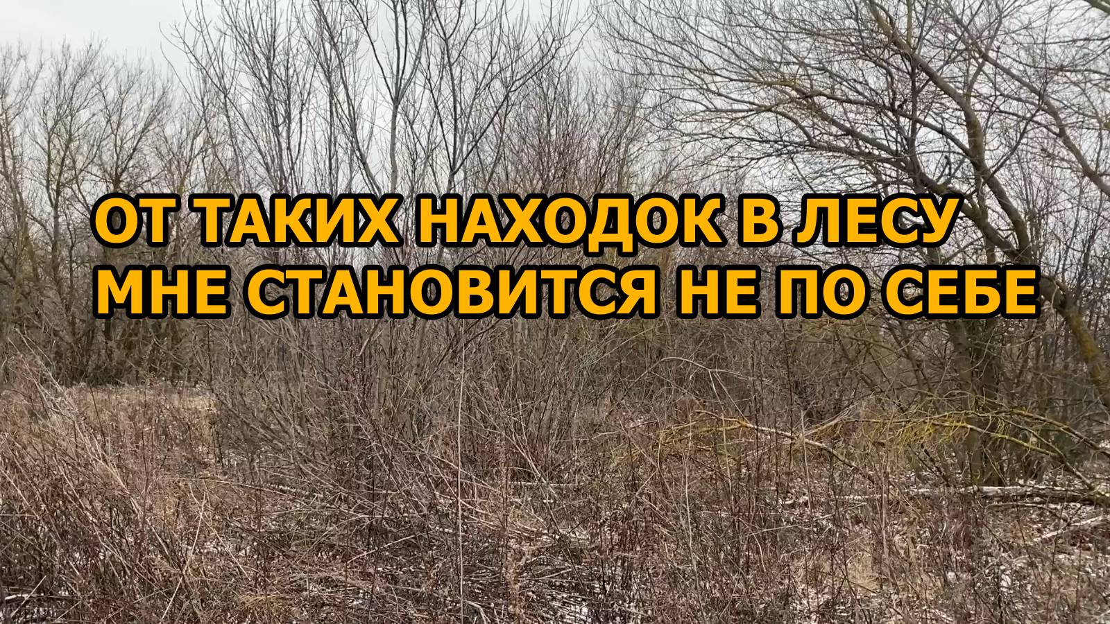От таких находок в лесу мне становится не по себе! Но все равно домой мы пустыми не вернулись смотреть онлайн