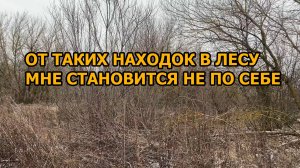 От таких находок в лесу мне становится не по себе! Но все равно домой мы пустыми не вернулись