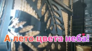 А лето цвета неба! На гармони, цифры, 89277382068.