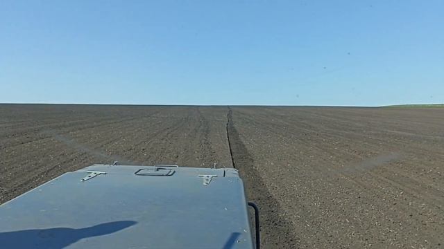 ПОСЕВНАЯ Озимые август 2024