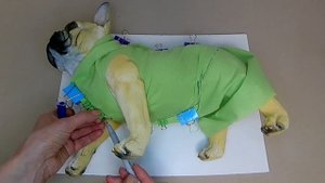 Делаю точную выкройку для собаки. Простая техника #вык