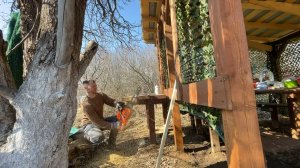 КУПИЛИ СТАРУЮ ДАЧУ ПОД ВОССТАНОВЛЕНИЕ ! РЯДОМ ЛЕС И ДИКИЕ ЗВЕРИ ! КАКАЯ РАБОТА ПРЕДСТОИТ ?! №1