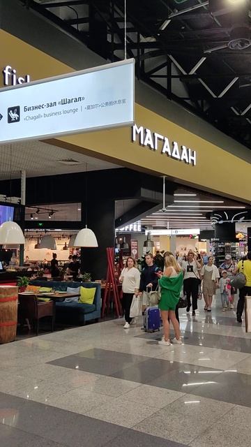 Шереметьево 🥰 #шереметьево #аэропорт #москва смотреть онлайн