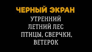 5 Часов Утреннего Летнего Леса. Белый Шум. Черный Экран. Звуки Природы и Птиц