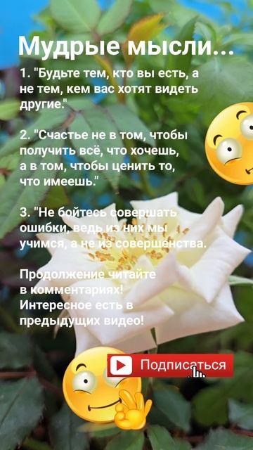 Будьте тем, кто вы есть, а не... / Мудрые мысли  Эзотерика