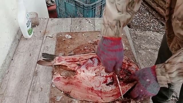 х12мф вести с полей. Часть 2 -рыба. ТО и слесарка мои.