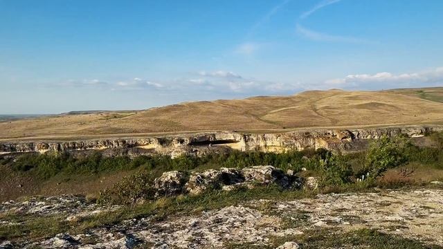 Куда поехать в Крыму | Белая скала | Табун лошадей | Дик?
