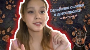 Так, не нужно делать когда дрессируете собаку.