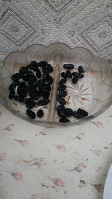 Изюм чёрного цвета в двух раздельном прозрачном блюдц смотреть онлайн