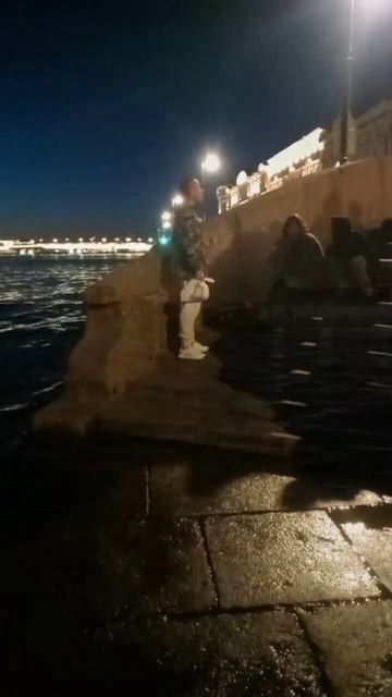 разводные мосты в Санкт-Петербурге#санктпетербург #natu