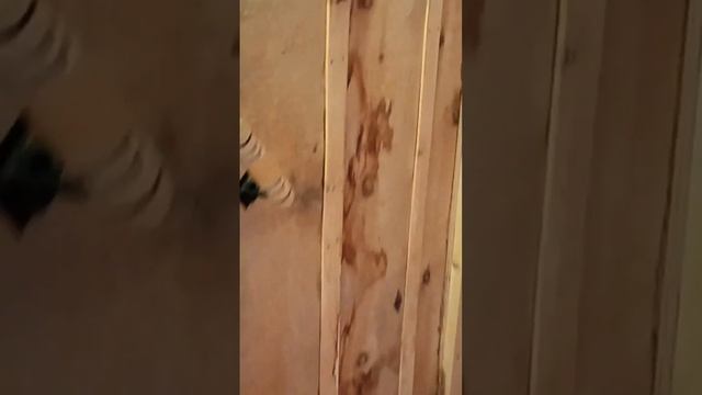 Наш домик Телецкое Озеро на берегу В озеро из бани смотреть онлайн