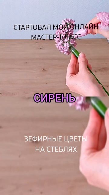 Зефирные цветы на стеблях #обучение #зефир #зефирнаяфл