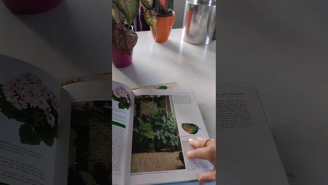 Просто на улице: книги о  уходе за цветами.Советы из кн?