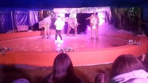 Цирк динозавры