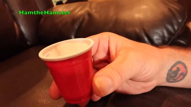 забавные хомяки, смешные мыши, ржачные милахи \ funny hamsters, funny mouse, hilarious mils #77