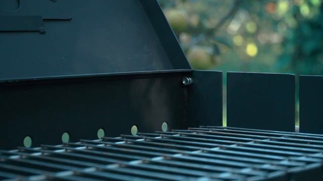 ОГЛЯД мангал-барбекю Daddy Smoke на 12 шампурів смотреть онлайн