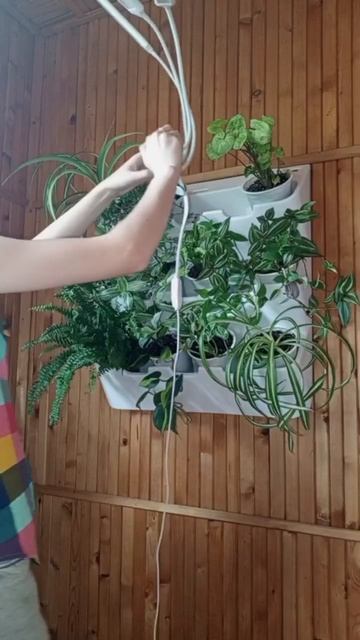 Зелёная стена 🌿 #фитостена #растения  #зеленаястена