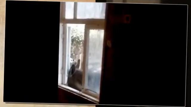 ПРИКОЛЫ! ЗАКРОЙ ОКНО! ДУЕТ! УЛЕТ! смотреть онлайн