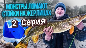 ОСТАВИЛИ ЖЕРЛИЦЫ их кто-то ПРИКАРМАНИЛ себе / Рыбалка на ЖЕРЛИЦЫ ЩУКА и НАЛИМ