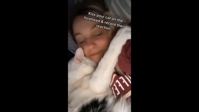 Приколы с животными - 12 смотреть онлайн