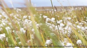 Эта мелодия программирует ваше подсознание - осторожно! - My Caved In Mind -- Eyelids -- Live at Mon