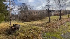 Усадьба Воронцовых-Дашковых XIX век  Владимирский уезд,