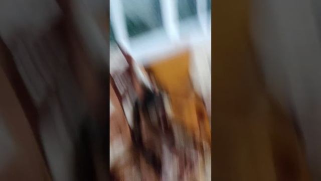 поймали кузнечика и посадили с пауками 😅 смотреть онлайн