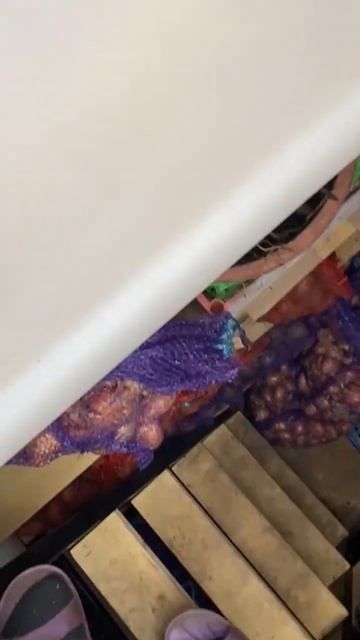 Клиентка из Калуги записала отзыв на свой погреб TINGARD # смотреть онлайн